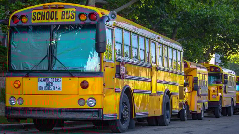School Buses