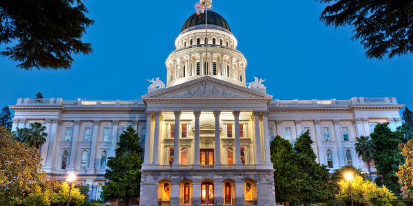 Polco Solutions - State Leaders