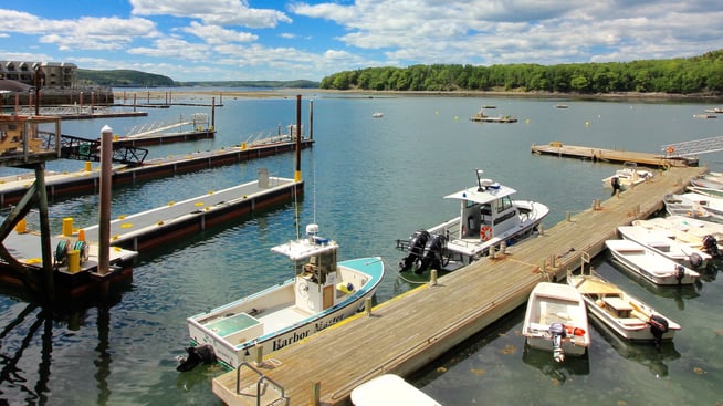 bar harbor boats